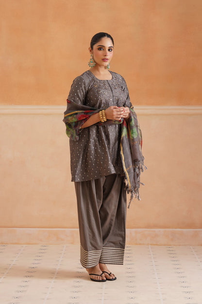 Thanishka Chanderi Embroidered Matching Set - Neetika Chopra