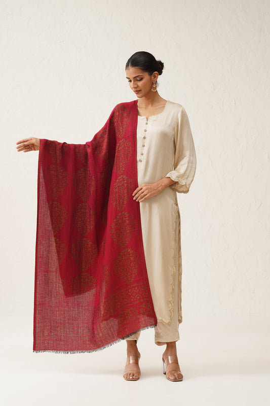 Falak Moonlight Woollen Shawl - Neetika Chopra