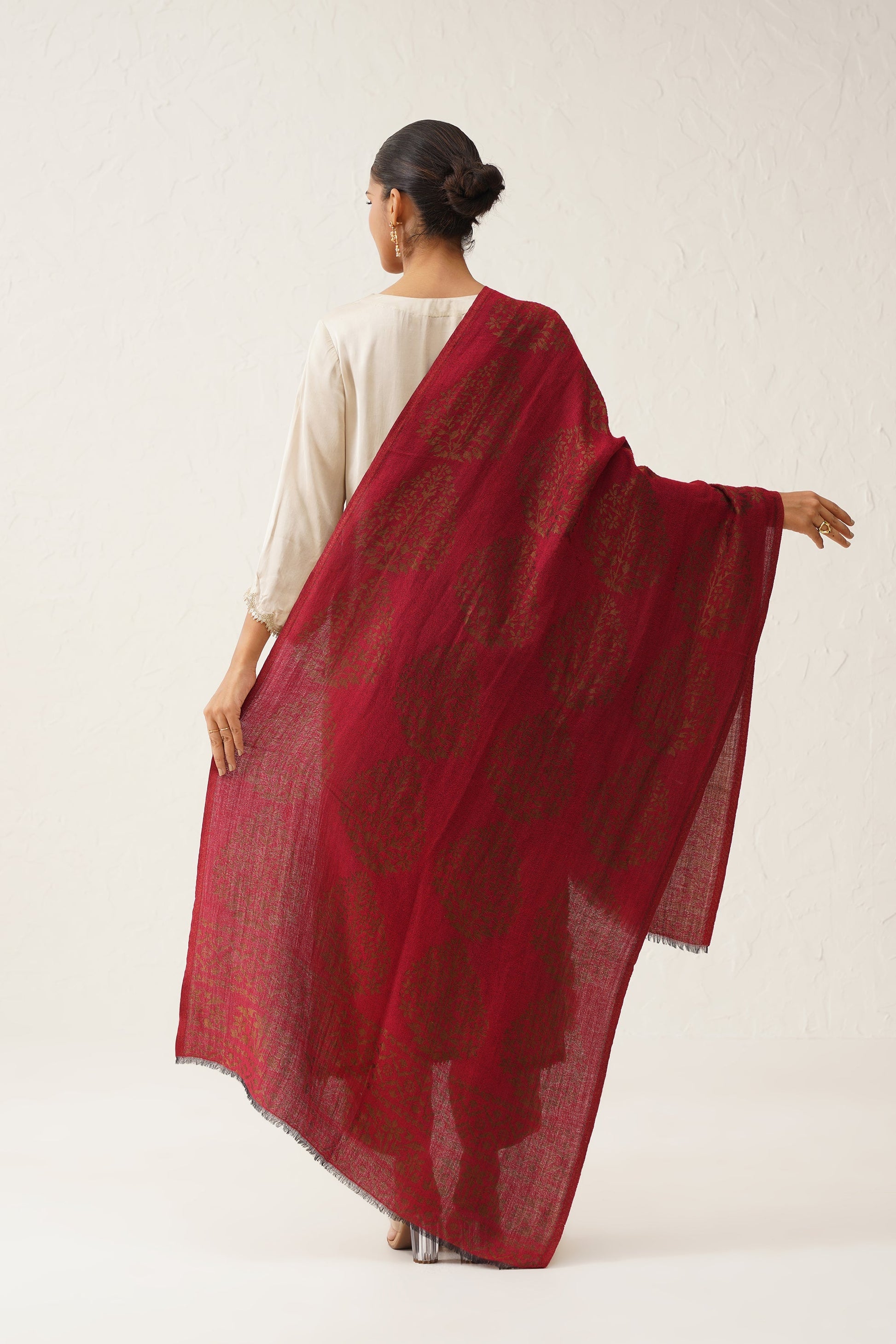 Falak Moonlight Woollen Shawl - Neetika Chopra
