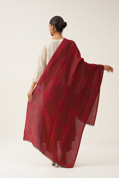 Falak Moonlight Woollen Shawl - Neetika Chopra