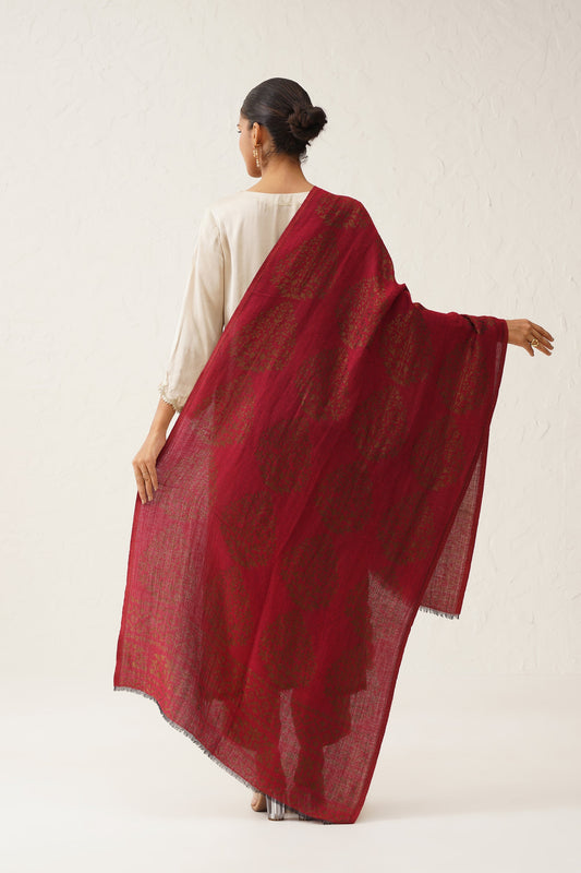 Falak Moonlight Woollen Shawl - Neetika Chopra