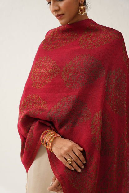 Falak Moonlight Woollen Shawl - Neetika Chopra