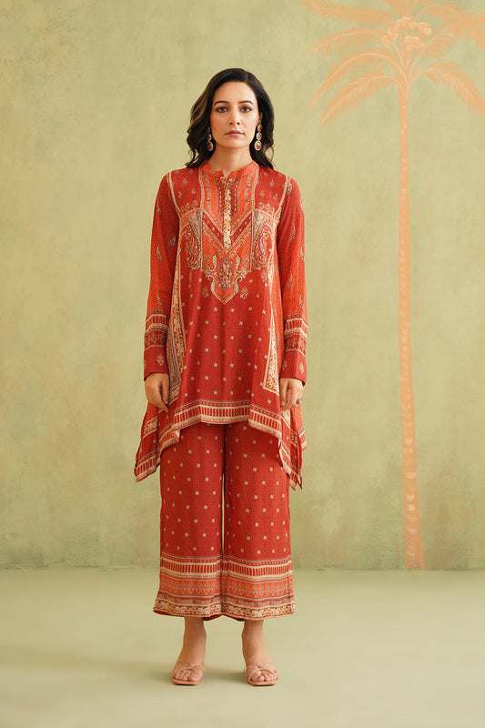 Terracotta Hand Embroidered Crepe Matching Set - Neetika Chopra